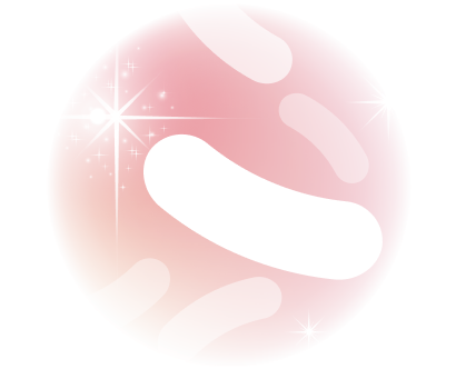 ※イメージ図